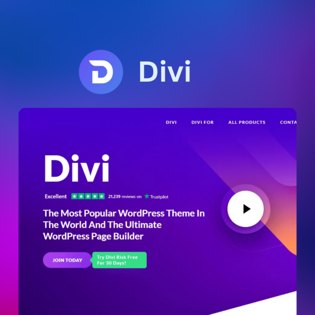 Divi Bundle