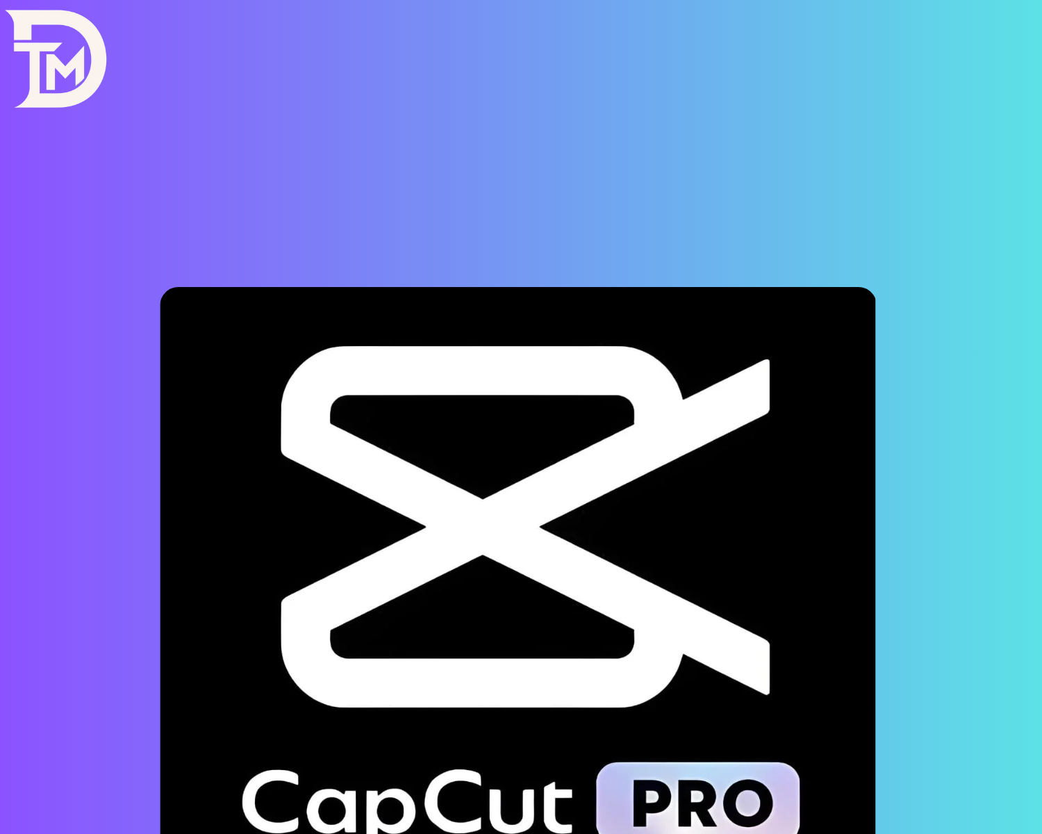 CapCut Pro